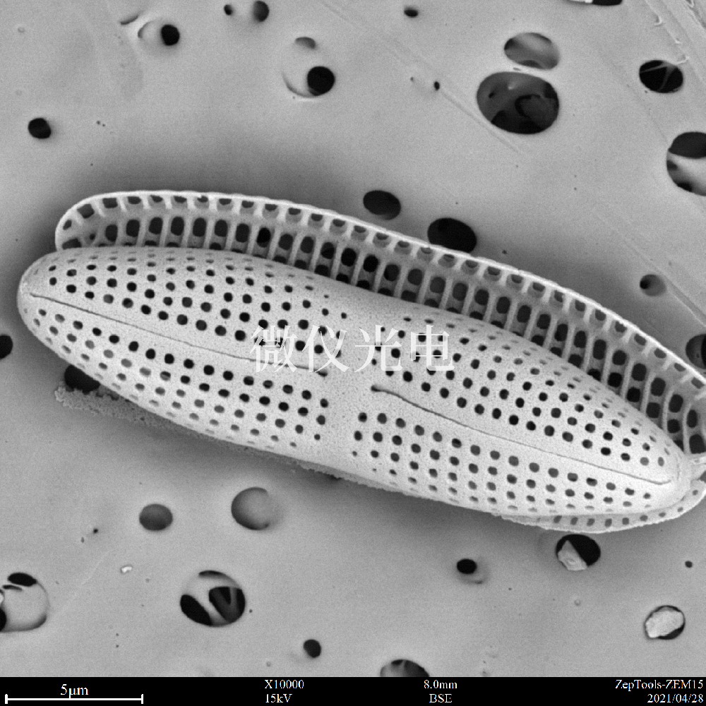 sem臺式掃描電鏡在司法鑒定行業(yè)的應(yīng)用是這樣的，你之前了解嗎？