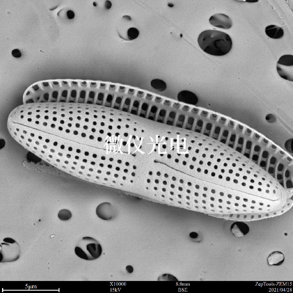 掃描電子顯微鏡的類型有這些你之前了解過嗎？